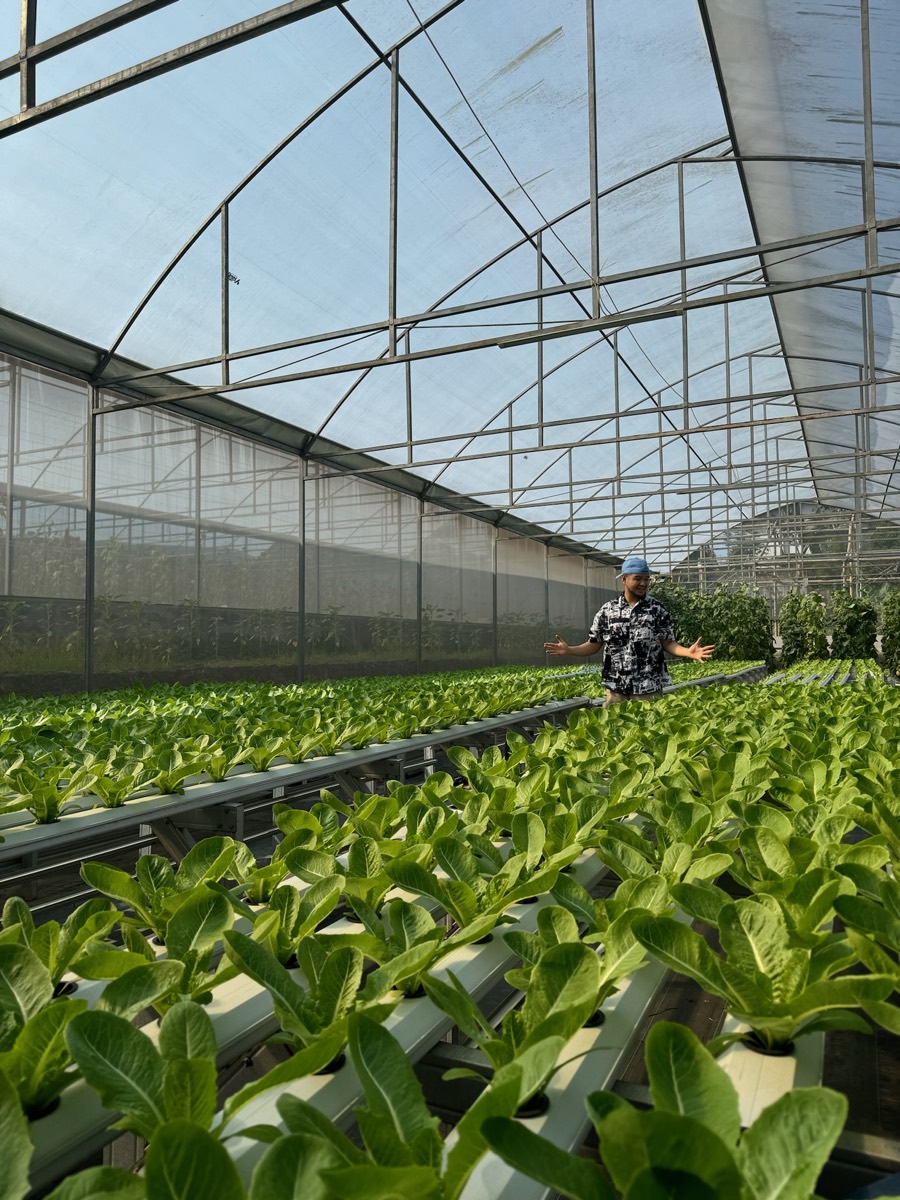 FLORIN greenhouse gallery