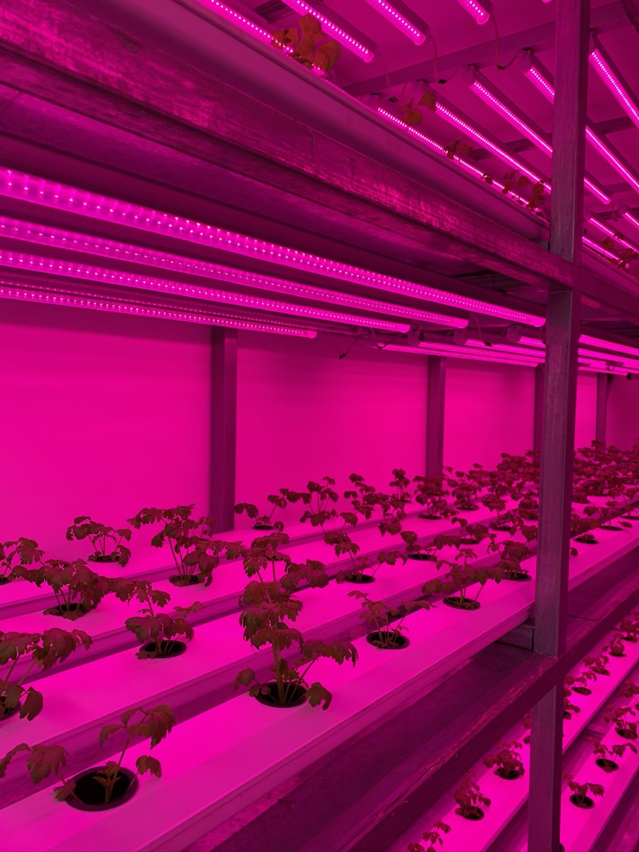 FLORIN greenhouse gallery