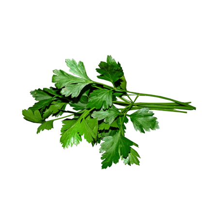 Italian Parsley