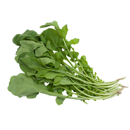 Rocket Salad